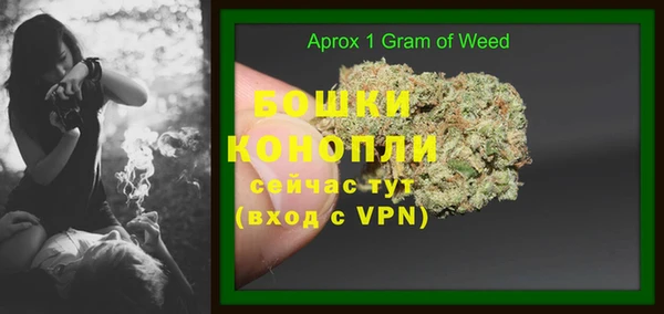 сатива Кукмор