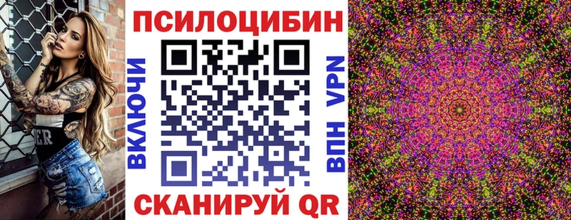 Купить закладки  Тбилисская  Галлюциногенные грибы MAGIC MUSHROOMS 